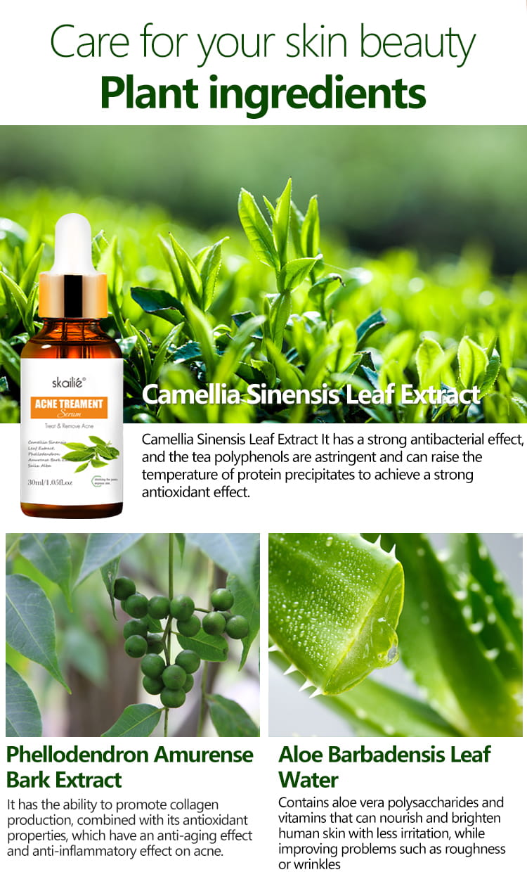 Tea Tree Acne Treatment Serum